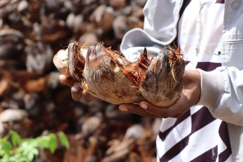 Kenya: Inside Innovative Venture Turning Wastes into Value