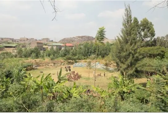 Riparian Land Grabbing Menace Threatens Nairobi’s Lucky Summer Green Oasis