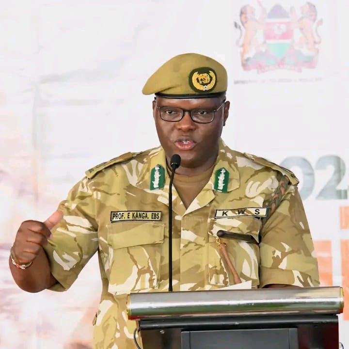 Kenya: Authorities Reaffirm Role in Giraffe Conservation During World Giraffe Day Observance