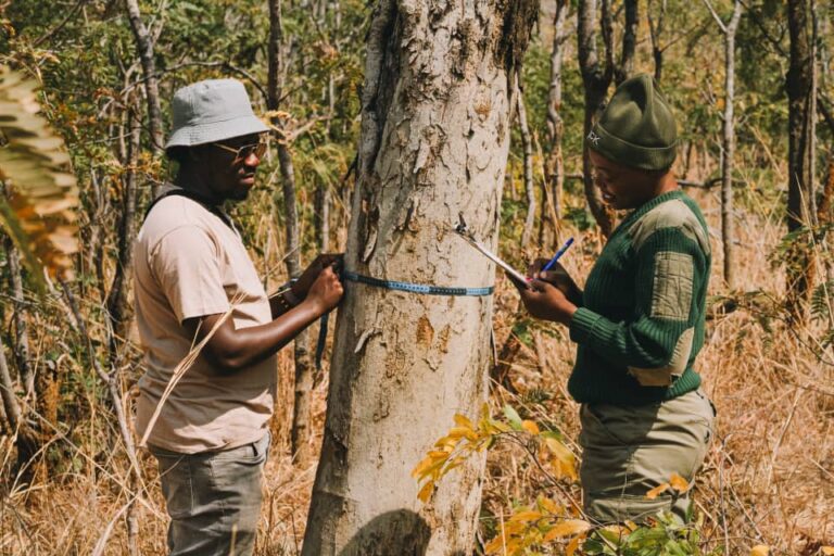Beyond protecting Zimbabwe’s wildlife: Female rangers drive reforestation in Hurungwe