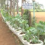 Food Security: Transforming Flower Beds into Kitchen Gardens in Kenya’s Public Schools 