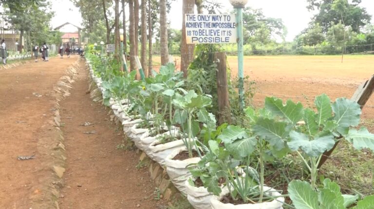 Food Security: Transforming Flower Beds into Kitchen Gardens in Kenya’s Public Schools 