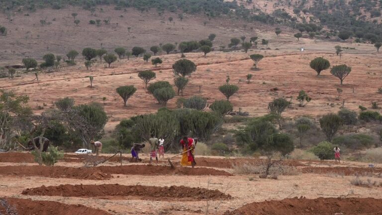 How Indigenous Women are Combating Land Degradation in Remote Kenya