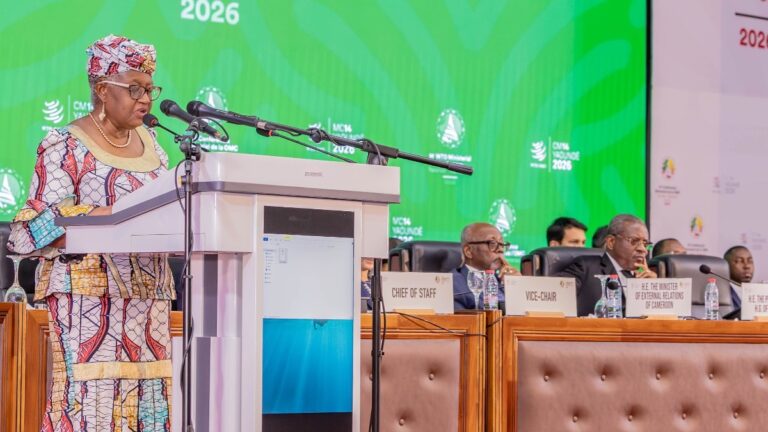 Yaoundé Hosts the 14th WTO Ministerial Conference: A Window of Hope for Africa?